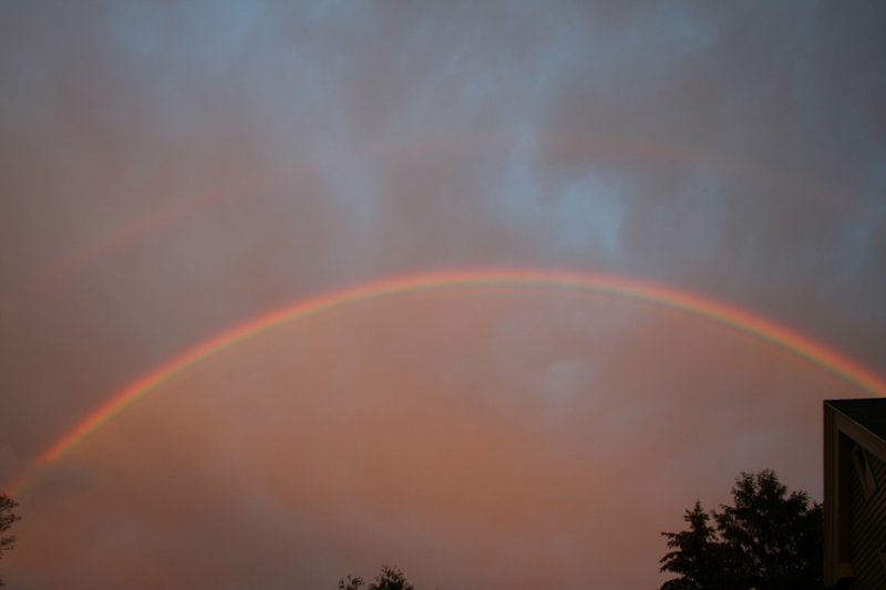 Rainbow