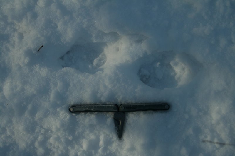 Unknown Tracks (with scale)
