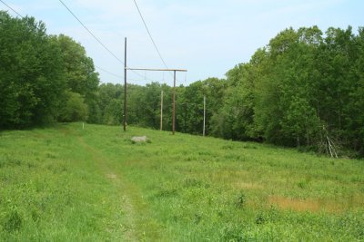 Late Spring (May 29, 2006)