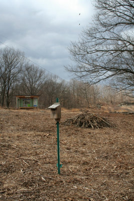Post Cut (March 26, 2006)