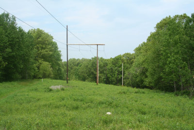 Late Spring (May 29, 2006)