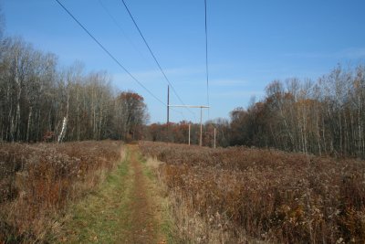 Late Fall (November 5, 2006)