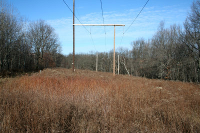 Early Winter (December 3, 2006)