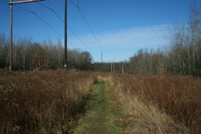 Early Winter (December 3, 2006)