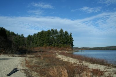 Shoreline