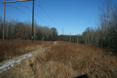 Mid-Winter (January 21, 2007)