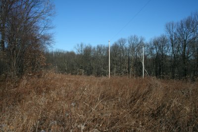 Mid-Winter (January 21, 2007)