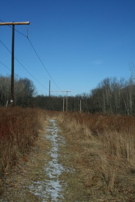 Mid-Winter (January 21, 2007)