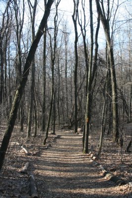 Holdredge Trail
