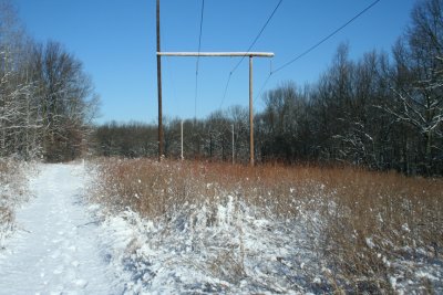 Late Winter (February 3, 2007)