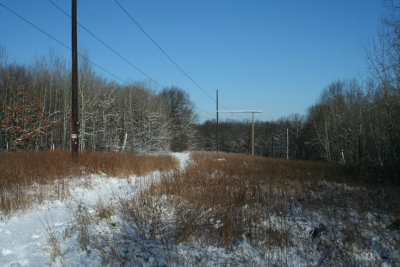 Late Winter (February 3, 2007)