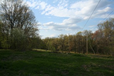 Mid Spring (May 6, 2006)