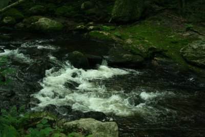 Roaring Brook