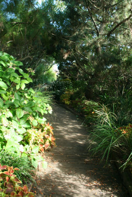 Path from Lighthouse to Ocean