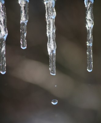 ice drip.jpg
