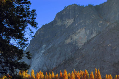 D50_0837Yosemite1.jpg