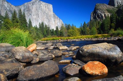 D200_5701Yosemite1.jpg