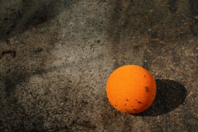 Orange Ball.jpg