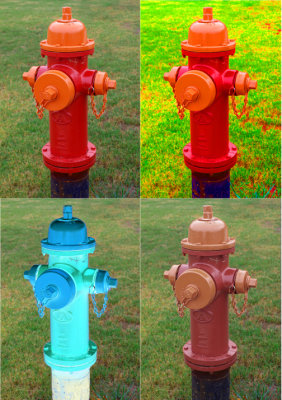 Quadpic Hydrant.jpg