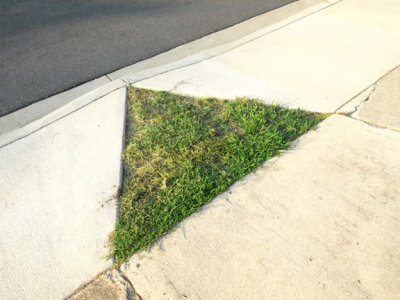 The Bermuda-Grass Triangle.jpg