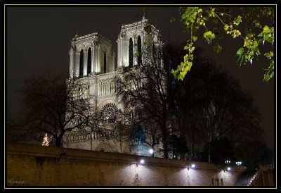 Notre Dame 02