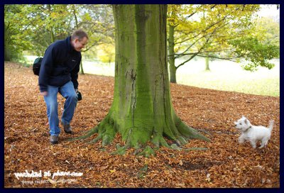 tree-trunk chase