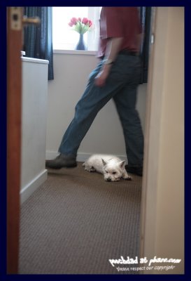 causing an obstruction!