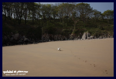 chase game on the beach