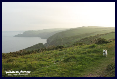 clifftop vista
