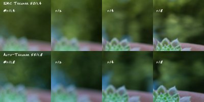 Pond Crop - Bokeh