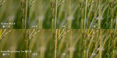 Grass Crop Corner