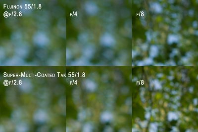 Tree Crop Corner