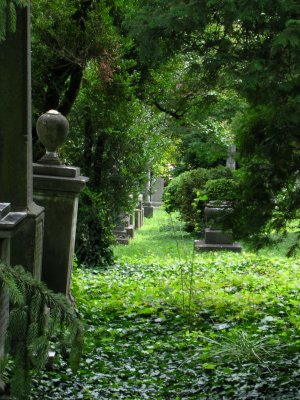 UVa Cemetery 2