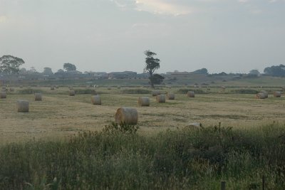 Hay and Houses