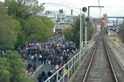 Crowds