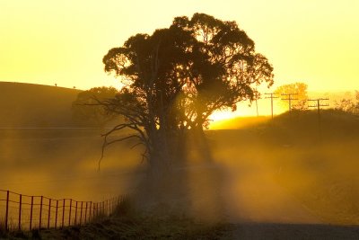 Sunrise and Fog