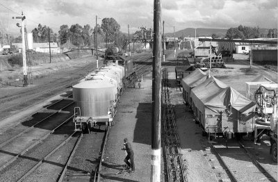 Wangaratta Pilot