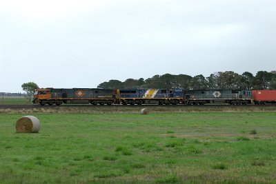 9826