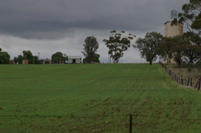 Tarraginnie