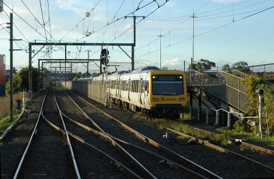 Vic Park