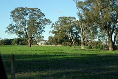 Farm
