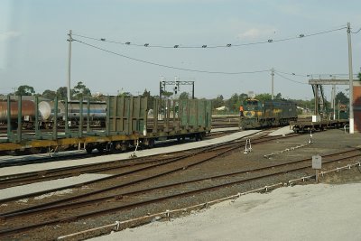 Shunt