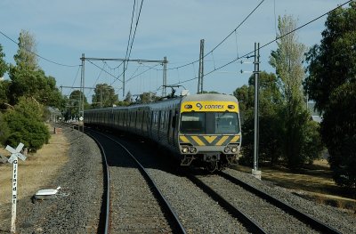 IMGP5915.jpg