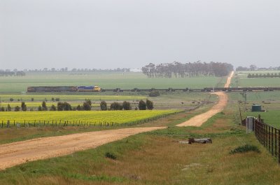 Misty Rain