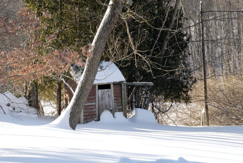 DSC_2240-2.jpg