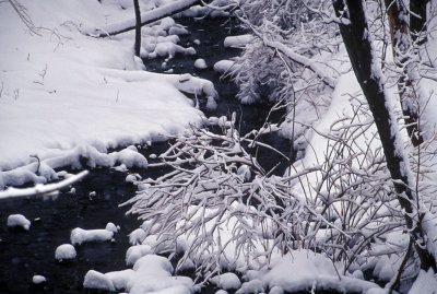 snowybrook01-2.jpg