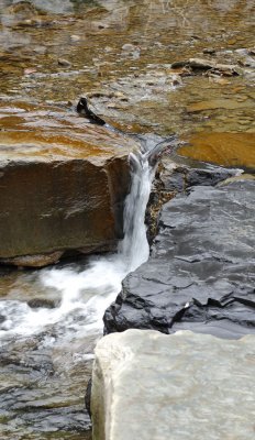 g6/36/581836/3/71002999.bl4Rv6w8.jpg