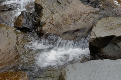 DSC_2825-2.jpg