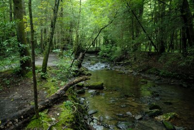 Great Smokey Mountains National Park