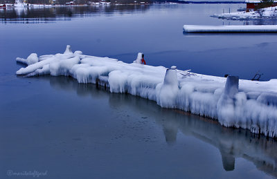 ice on the docks greddo 2007